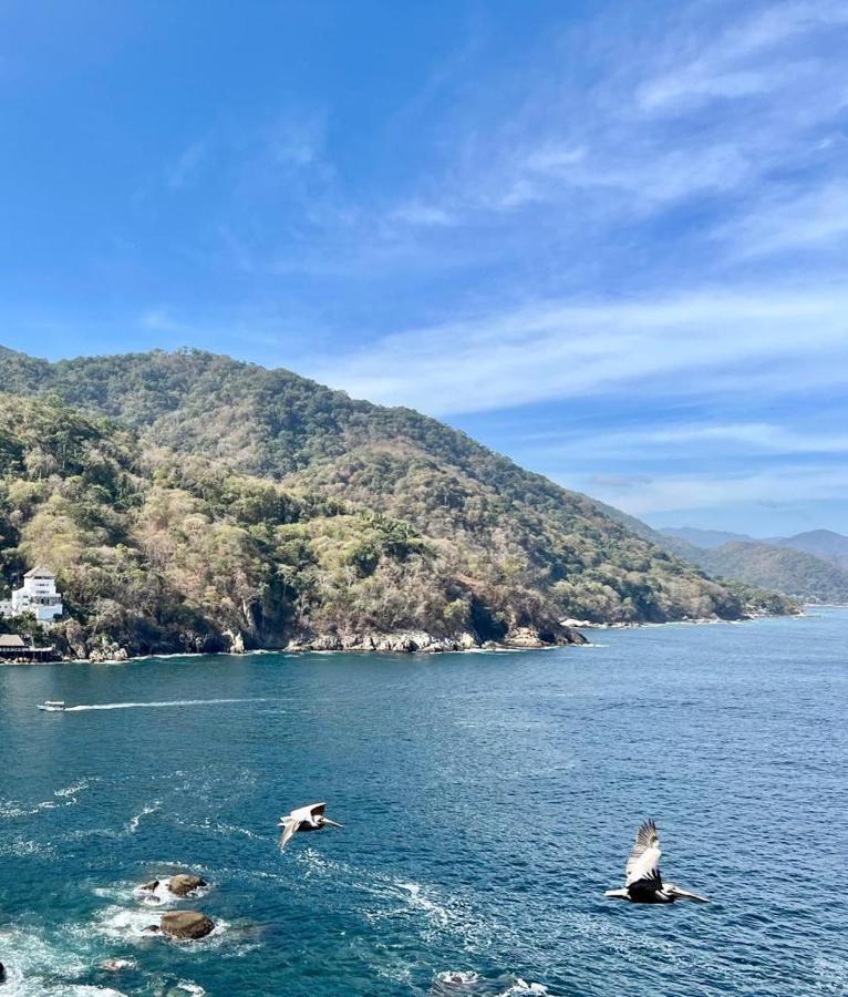 Oceanfront Villa, A Unique Experience Puerto Vallarta Exterior foto